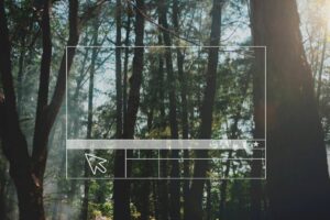 Redimensionador de Imagens Online Grátis